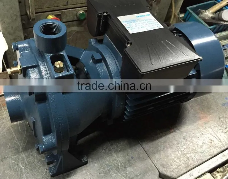 2CPM25/160A double impeller small water pump