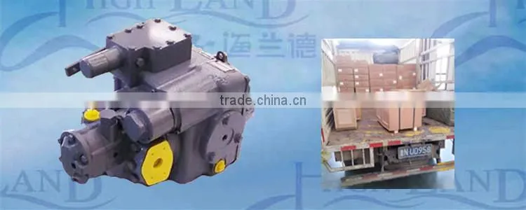 high quality hydraulic pump for agricultural machinery