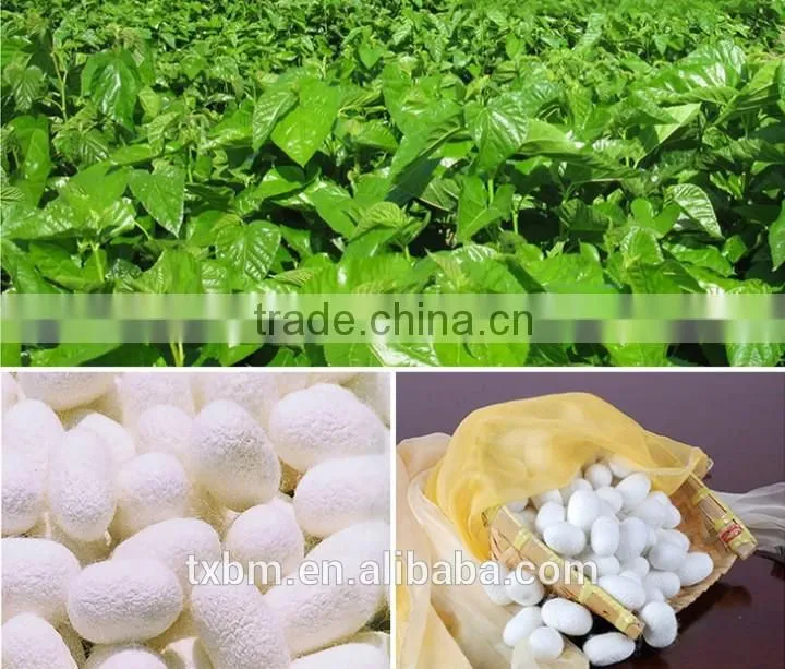 Factory supply customize China handmake 100% long mulberry silk filling quilt