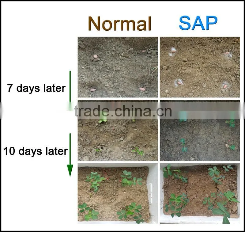 SAP potassium polyacrylate water gel for forest