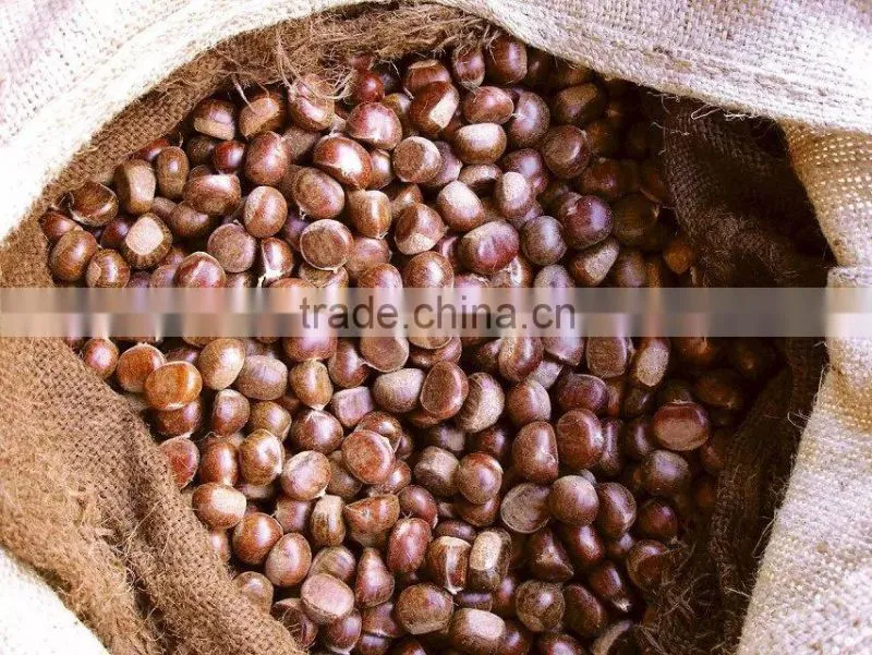 Supply dried chestnut with good quality for sale