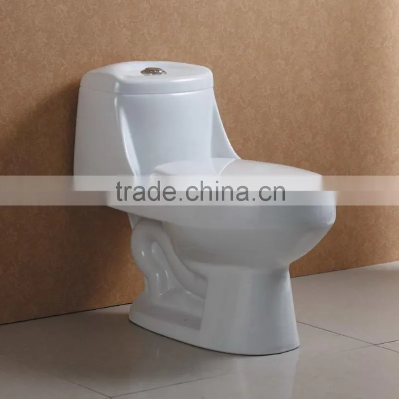 Washdown Toilet with 4 Inch Hole