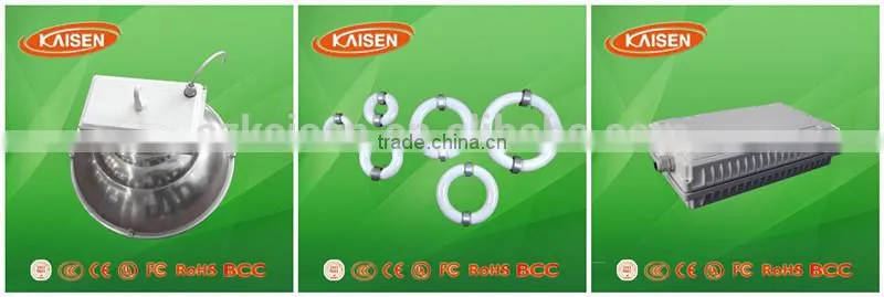 2015 500w good price professional electronic ballast for induction lvd lamp