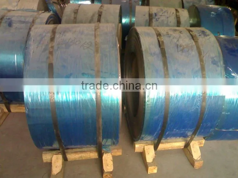 301 stainless steel strips