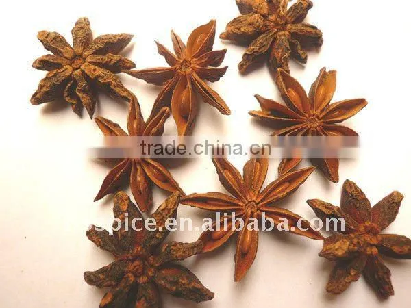 Grade A Chinese star aniseed