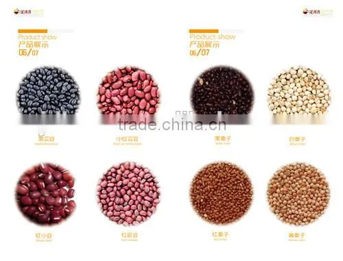 zhangjiakou Origin bitter apricot kernel for sale