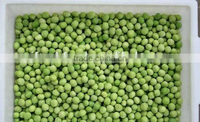 IQF Green Pea