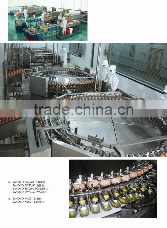 egg white powder dry high quality