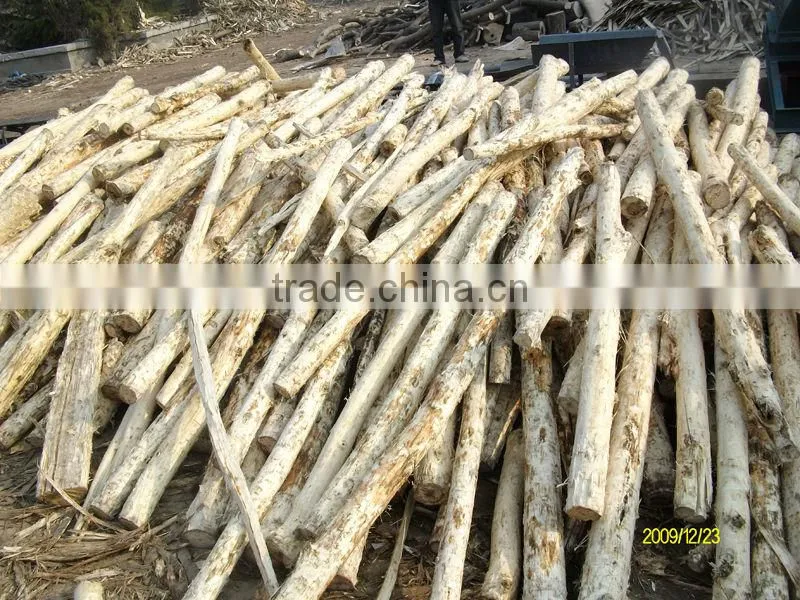 Timber barker machine in the forest