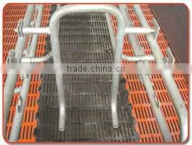 pig raising equipment