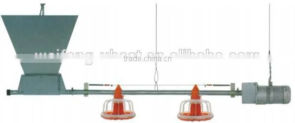 Automatic Broiler Chicken Farm Equipment For Poultry Shed