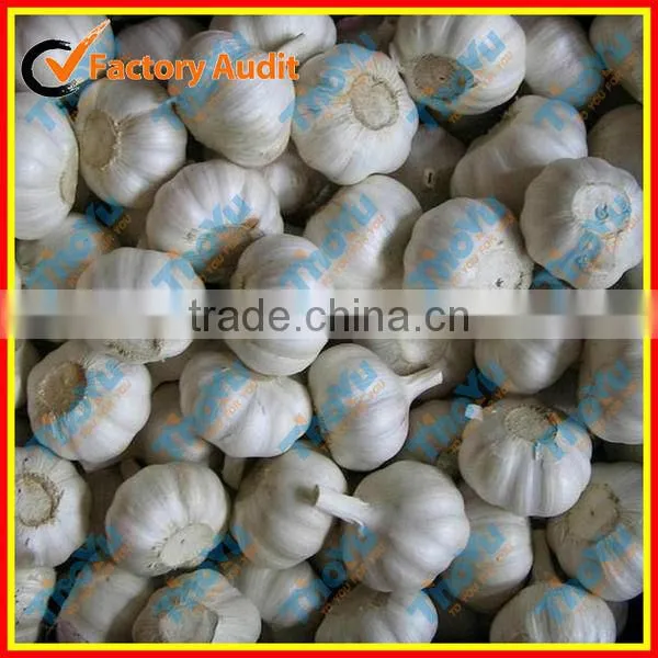 Salable Fresh Garlic Grading Machine 0086 15937167907