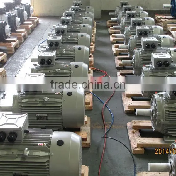 IEC Standard Small 3 Phase Electric Motor