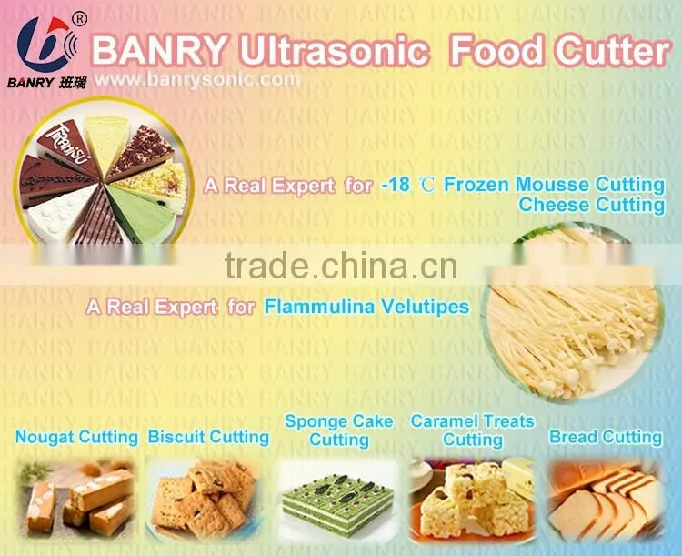 Supersonic wave 20kHz bread slicer cutter Acoustic sound device for blade