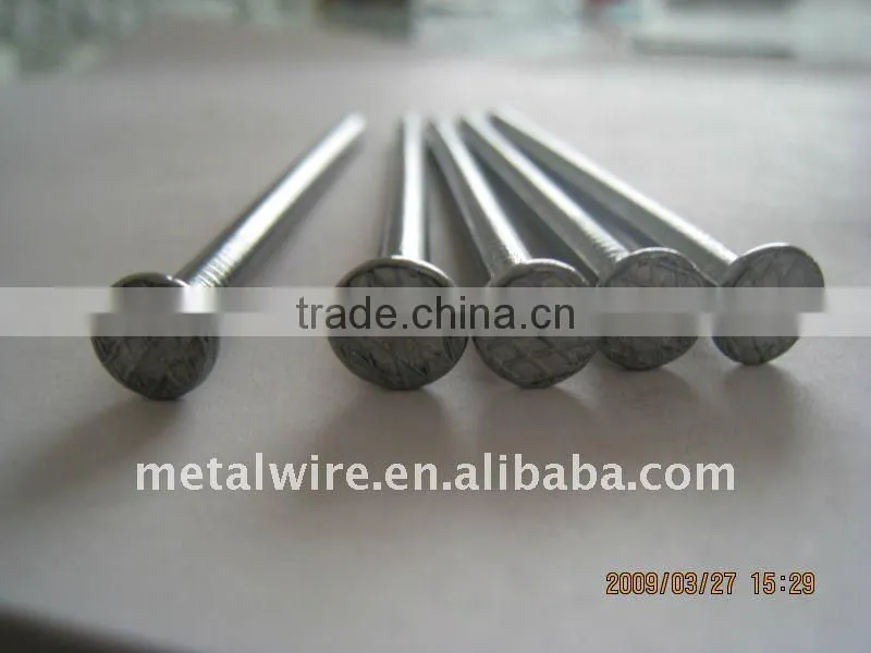 Common Headless Nail