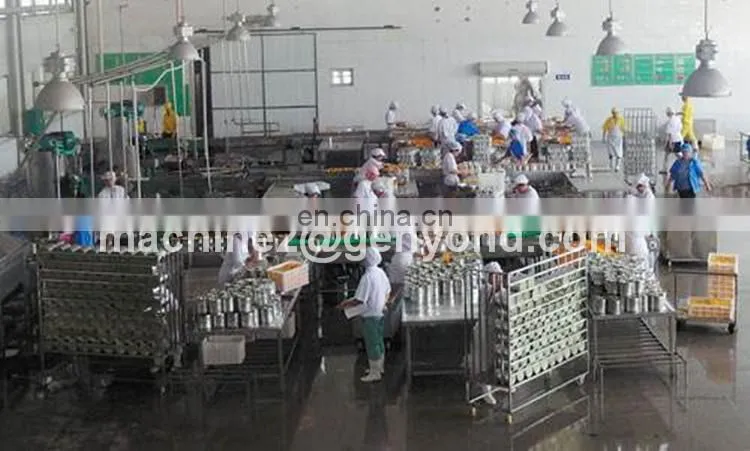Design drying production line for fruit of factory price