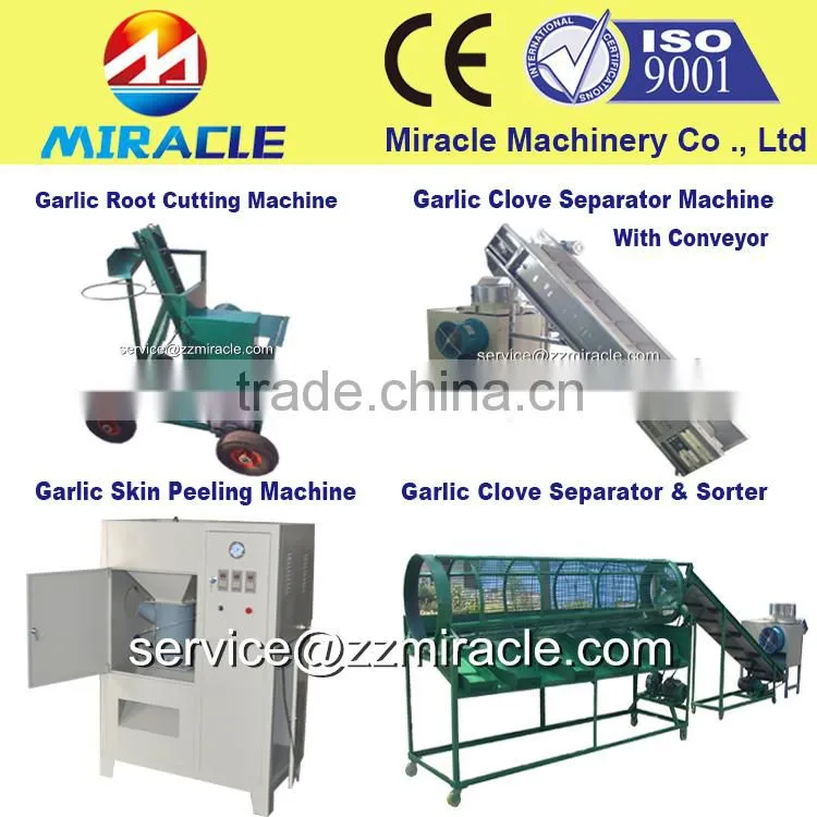 Fast delivery within 3 days dry garlic cloves breaking machine for peeled garlic