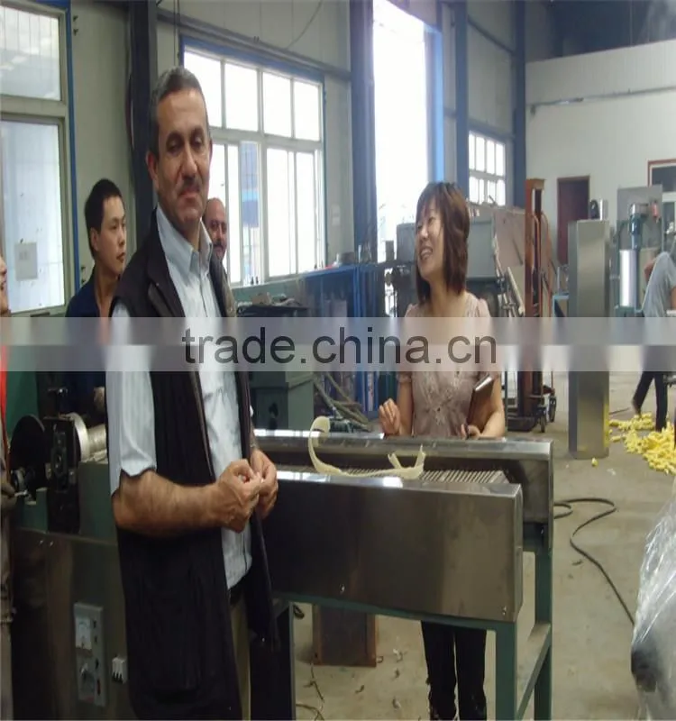 1. Full Atomatic Bread Crumbs Extruder Machine