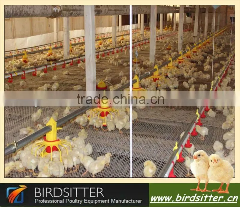 birdsitter chicken farming automatic poultry equipment suppliers