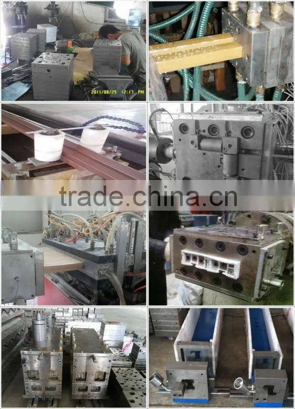 PVC Wood Plastic Composite Ceiling Extrusion Mould