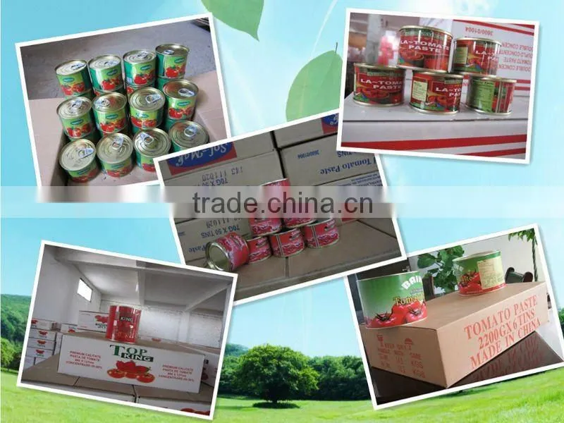 Natural Fresh Tin Canned Tomato Paste With Good Quality