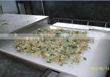 mirowave traditional Chinese medicine drying equipment