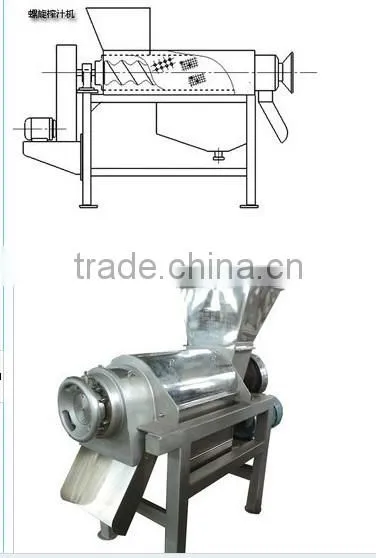 spiral Juicer for fruit&vegetables/ commercial apple juicer/ fruit & vegetable juicer