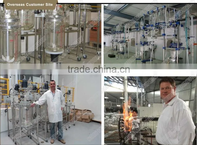 PGR Model Double Layer Rotating Jacketed Glass Lined Reactor