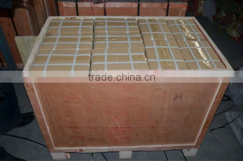 High quality Pillow Block Stainless steel bearing housings SF205 SF204