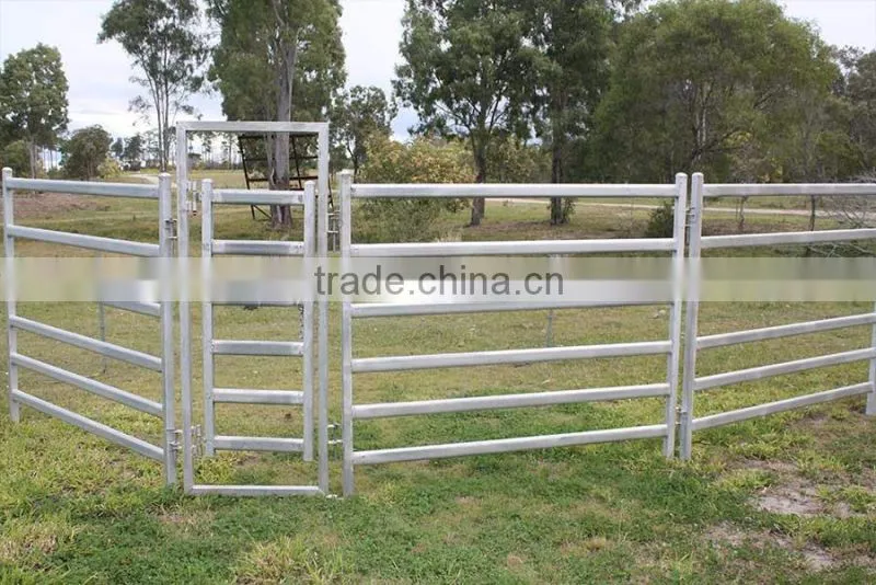 High quality galvinized cattle panels for sale