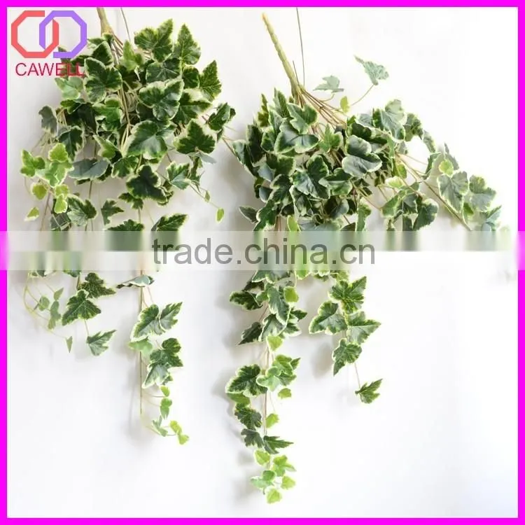 important of ornamental plant