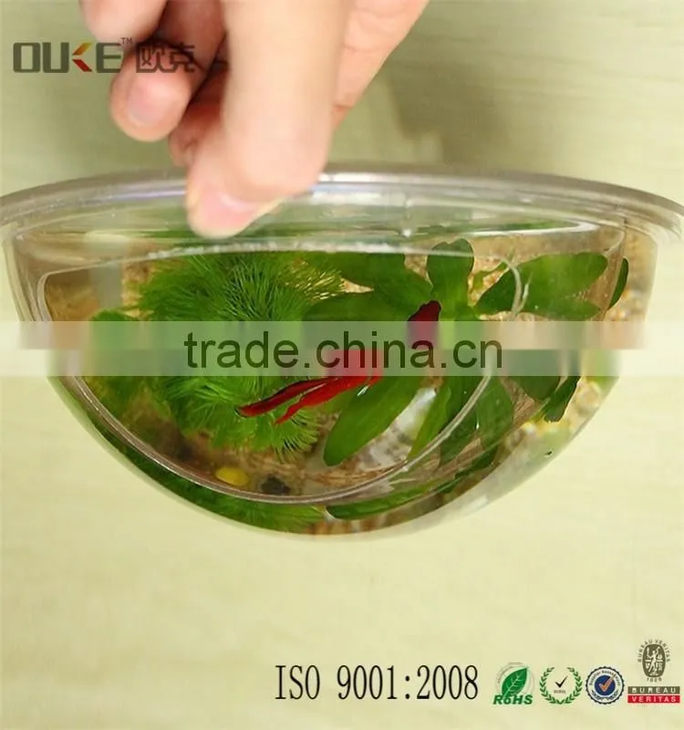 wall mount new stly transparent acrylic fish tank