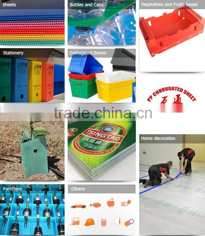 Factory Price Polypropylene Seal Edge Correx for Bottles and Cans