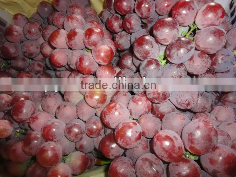 First grade red grapes