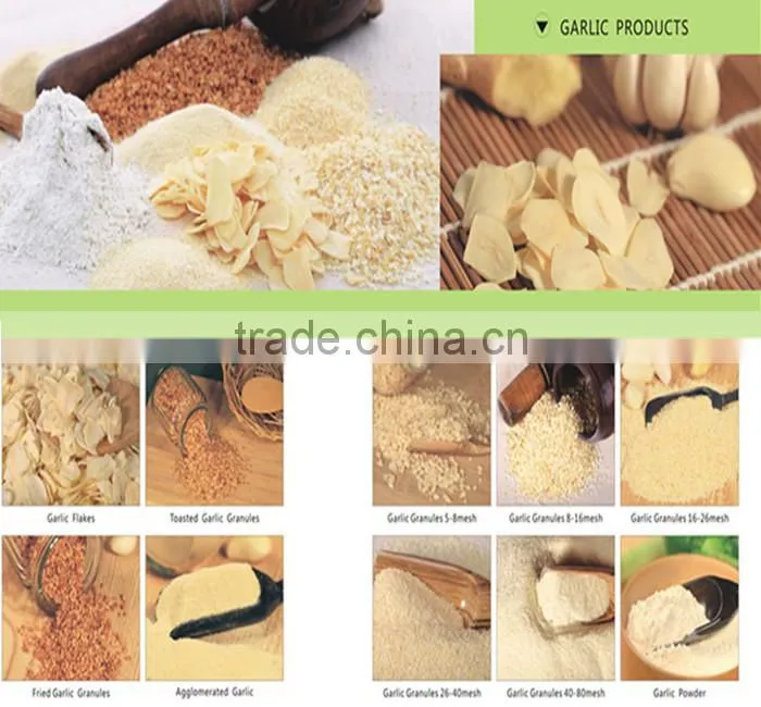 Dried Ginger Flakes