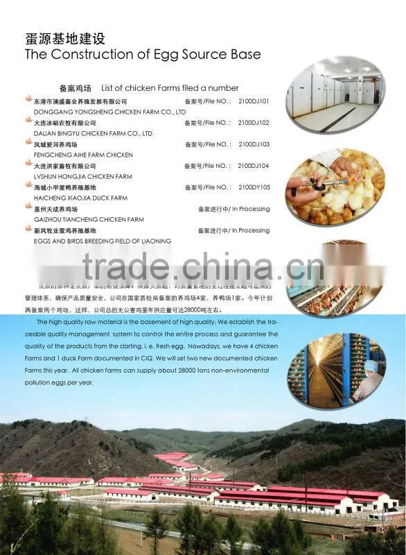 egg white powder dry high quality