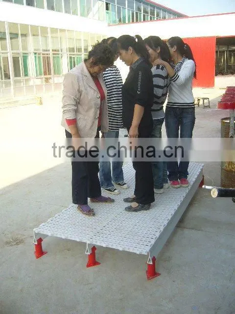 long-life recyled plastic Birds with plastic floor
