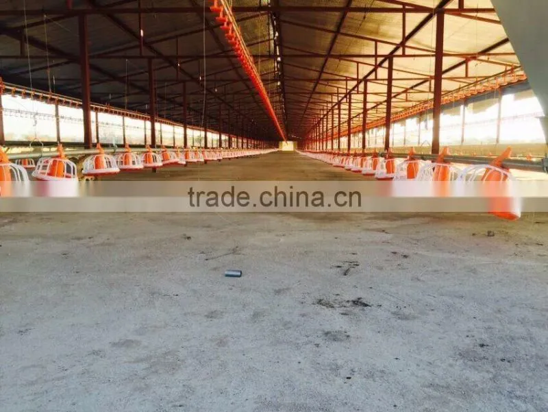 automatic poultry equipment feeder for chicken