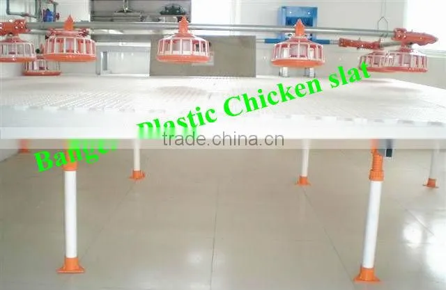 Plastic chicken Slat for chicken house