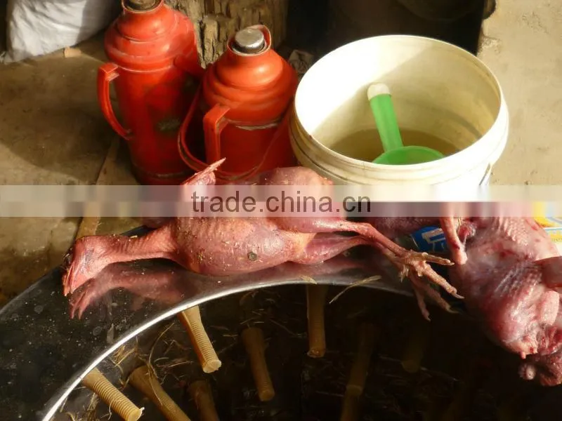 Power ablility used chicken pluckers for sale abattoir equipment duck machine