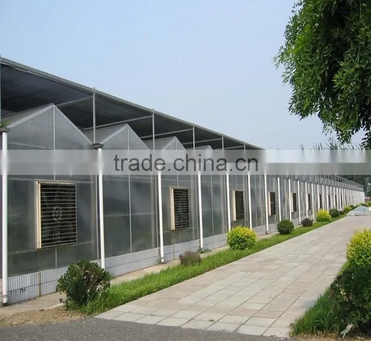 In machine ventilation ecological greenhouse