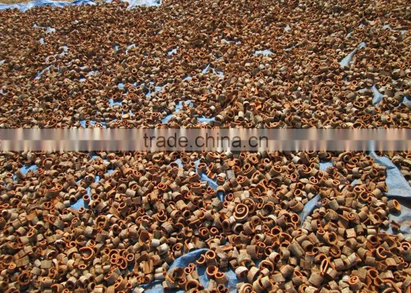 Haigh quality broken cinnamon from Vietnam