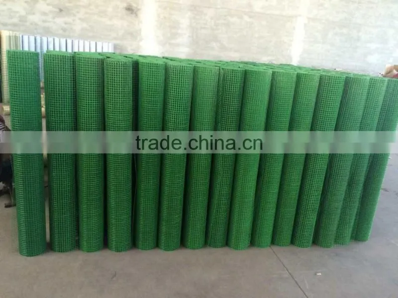 Plastic coated Welded wire mesh from Guangzhou supplier/ Electrowelding net