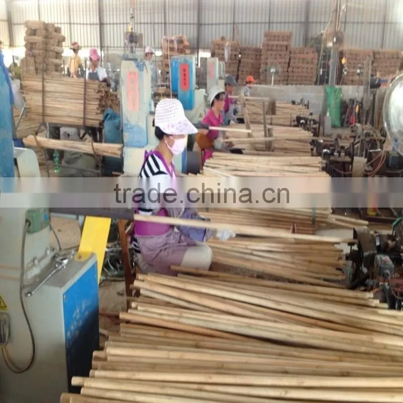 Home Usage and PET Broom Head Material broom handle