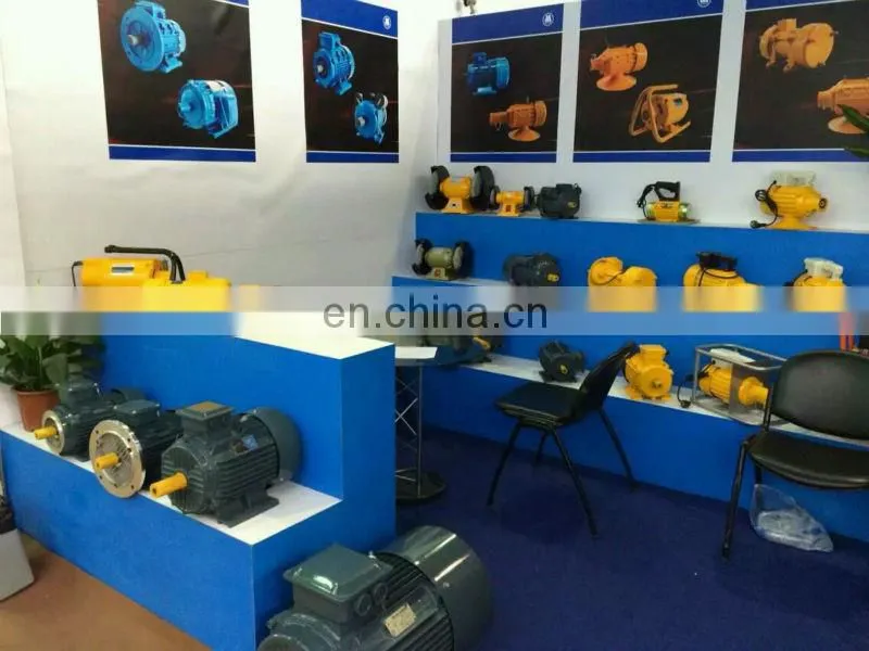 electric motor(Y, Y2, YC, YCL, JY, ML, MS, MY)