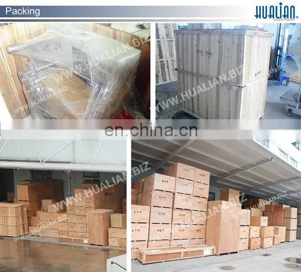DXDZ-350W Hualian Reciprocating Pillow Wrapping Machine
