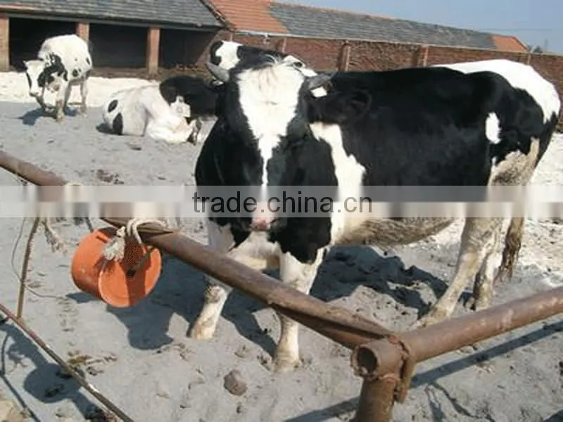 hot selling licking salt block machine