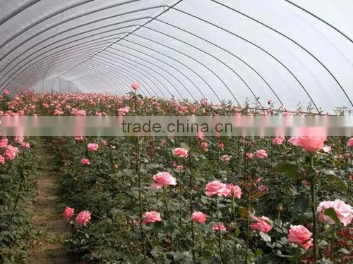 low cost greenhouse
