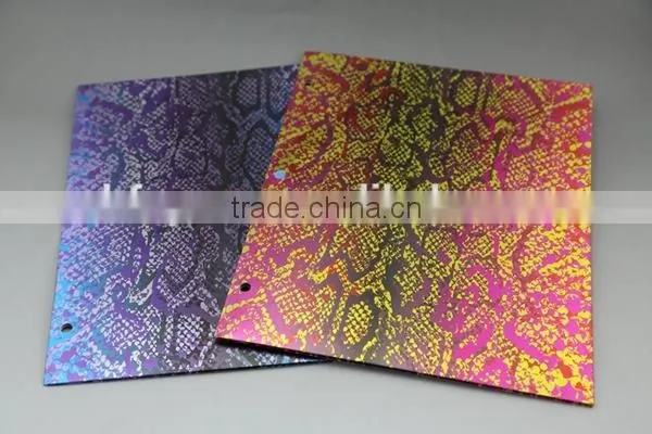 Two Pocket Paper Folder,wholesale file folder