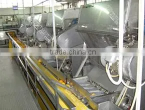 PET bottle hot filling fruit juice line